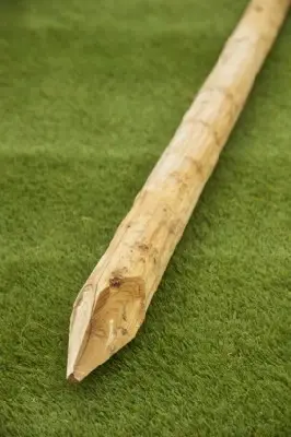 Tree Stake Peeled - image 2