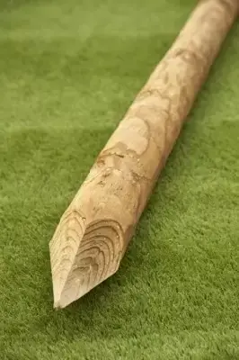 Tree Stake Peeled