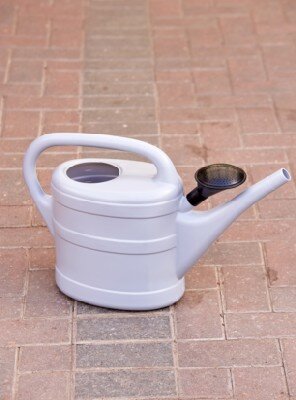 Watering Can Plastic