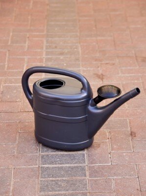 Watering Can Plastic