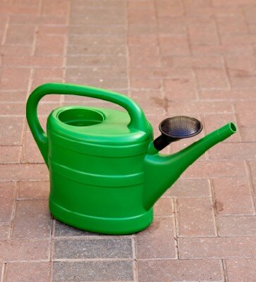 Watering Can Plastic