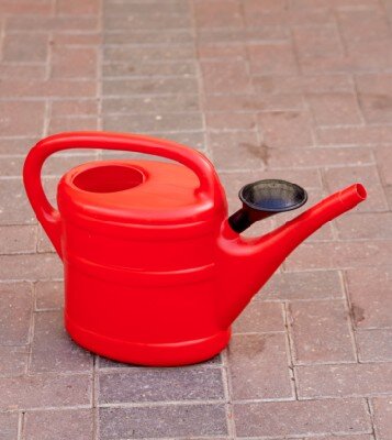 Watering Can Plastic
