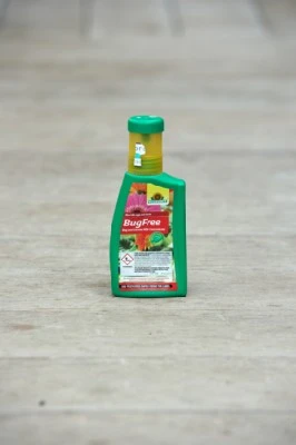 BUGFREE BUG visual data 6