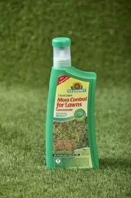Moss Control for Lawns