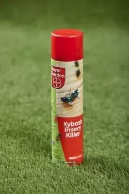 Kybosh Insect Killer Spray