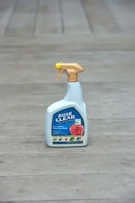 Rose Clear 3 in 1 - image 2
