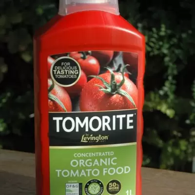 Tomorite Organic Levington