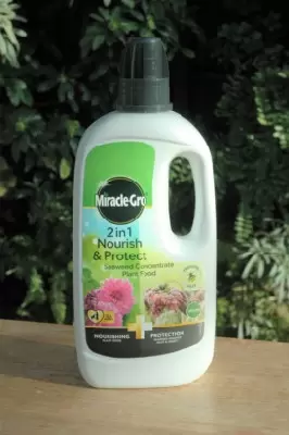 Miracle-Gro Nourish & Protect Seaweed Plant Food