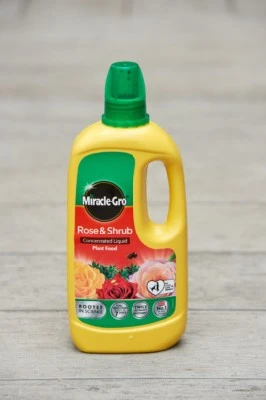 Miracle-Gro Rose & Shrub Liquid Plant Food