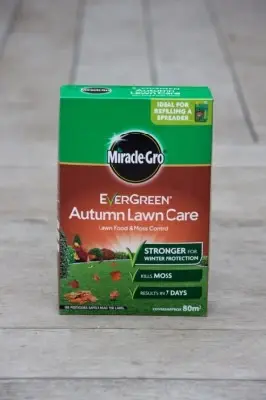 Evergreen Autumn Lawn Care