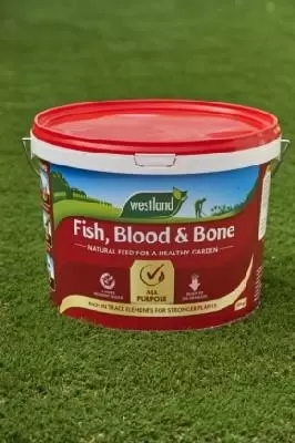 Blood, Fish & Bone Fertiliser