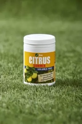 Vitax Citrus Summer Fertiliser