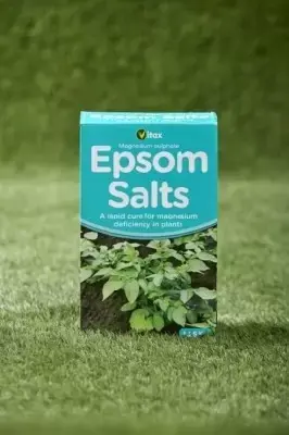 Epsom Salts