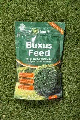 Buxus Feed