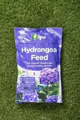 Hydrangea Feed