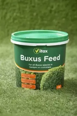 Buxus Feed