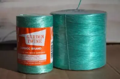 Green Poly Twine