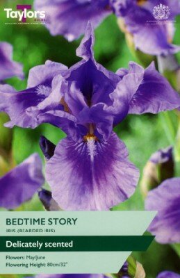 IRIS 'Bedtime Story'