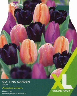 TULIPA Cutting Garden