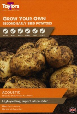 Solanum tuberosum 'Acoustic' (POTATO)