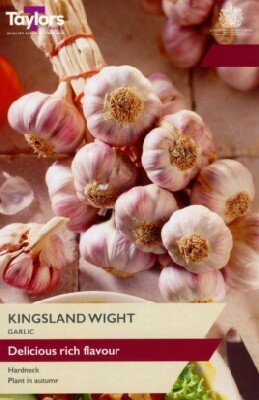 Allium sativum 'Kingsland Wight' (Garlic)