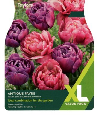 TULIPA Antique Fayre