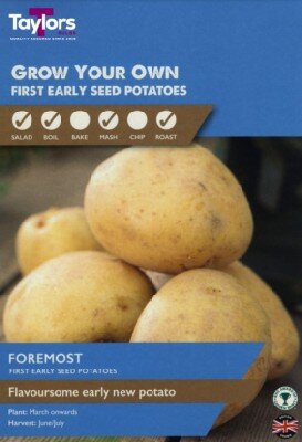 Solanum tuberosum 'Foremost' (POTATO)