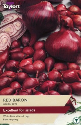 Allium cepa 'Red Baron' (ONION)