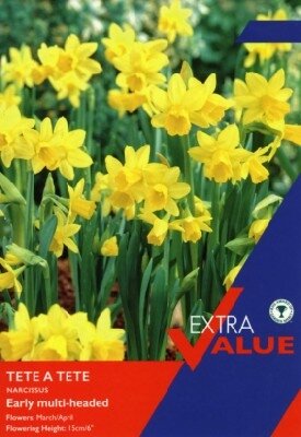 Narcissus 'Tete-a-Tete' - image 2
