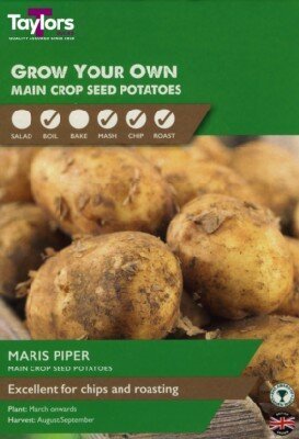 Solanum tuberosum 'Maris Piper' (POTATO)