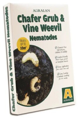 Chafer Grub & Vine Weevil Nematodes