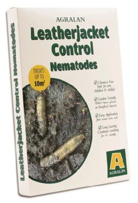 Leather Jacket Nematodes