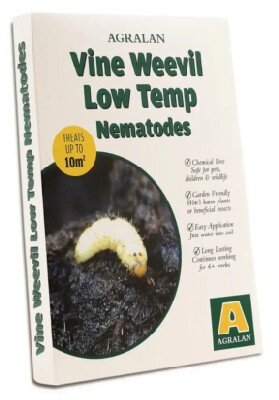 Vine Weevil Low Temperature Nematodes