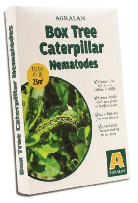 Box Tree Caterpillar Nematodes