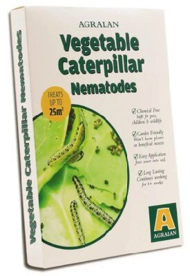 Vegetable Caterpillar Nematodes