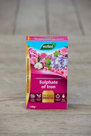 Sulphate of Iron