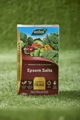 Epsom Salts