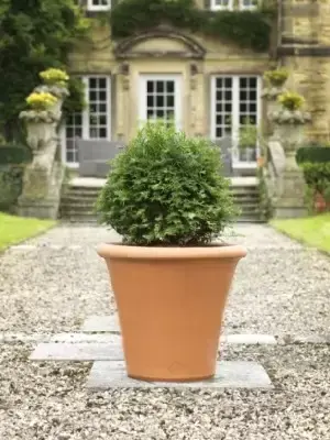 Pot Large Flower Pot - image 2