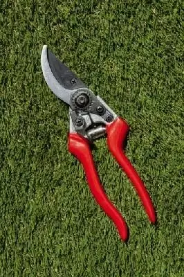 Darlac Bypass Secateur