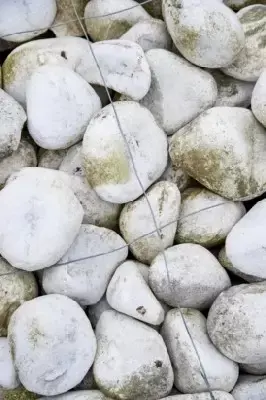 White Boulder - image 3