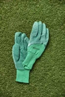Glove All Rounder Green