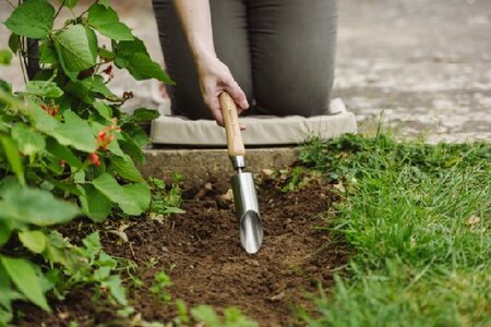 Small Bulb Planter Stainless Steel