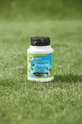 Organic Rooting Powder