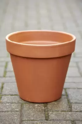 Pot Standard Flower Pot