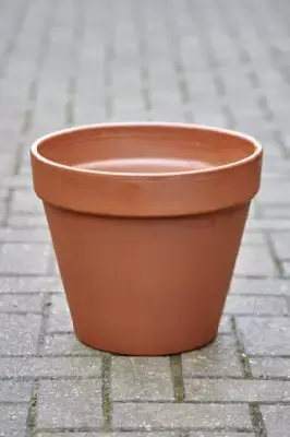 Pot Standard Flower Pot