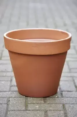 Pot Standard Flower Pot