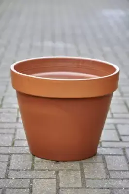 Pot Standard Flower Pot
