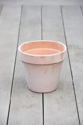 Pot Standard Flower Pot