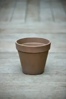 Pot Standard Flower Pot