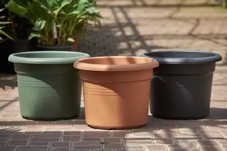 Pot Green Basic Cylinder